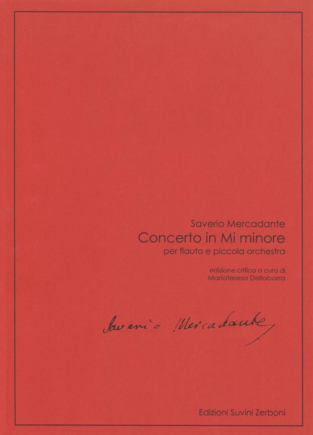 Concerto in Mi minore